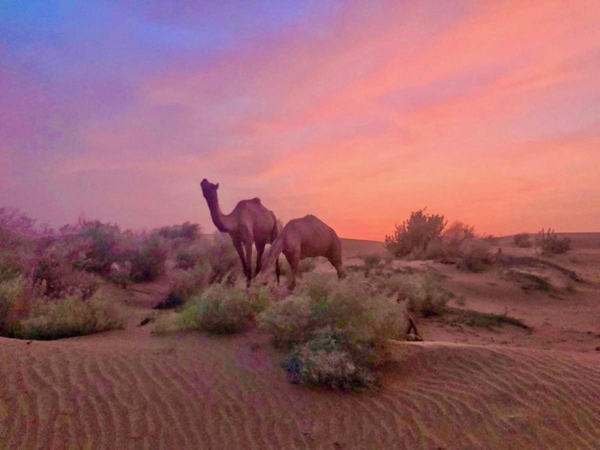 Hotel Desert Bloom Jaisalmer Dış mekan fotoğraf